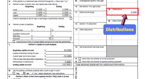 k1 box 19 distributions|k1 line 19 distribution.